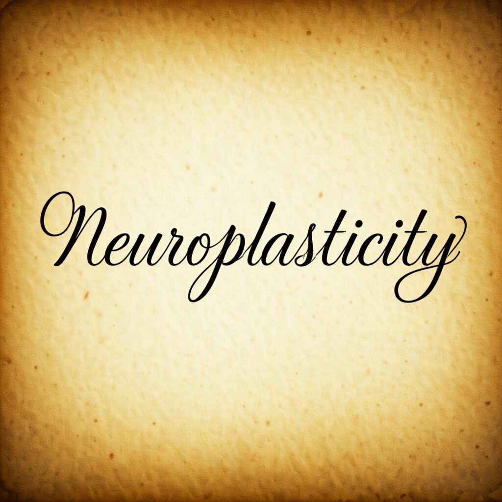 neuroplasticity